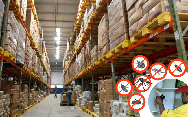 Pest Control in Warehouses