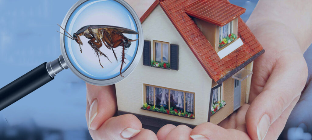 Advantages of Residential Pest Control