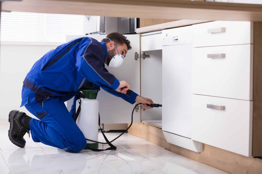 Man applying pest control products in a cupboard of a kitchen bench