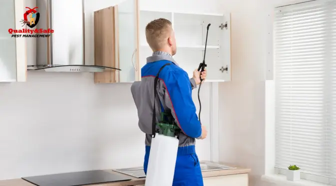 Residential Pest Control Sydney