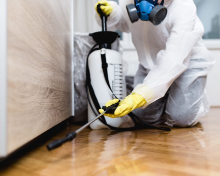 Man kneeling on the floor in a white protection suit applying pest control under a timber bench